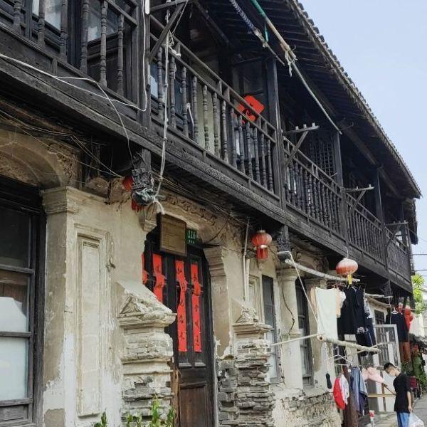 阴暗森林